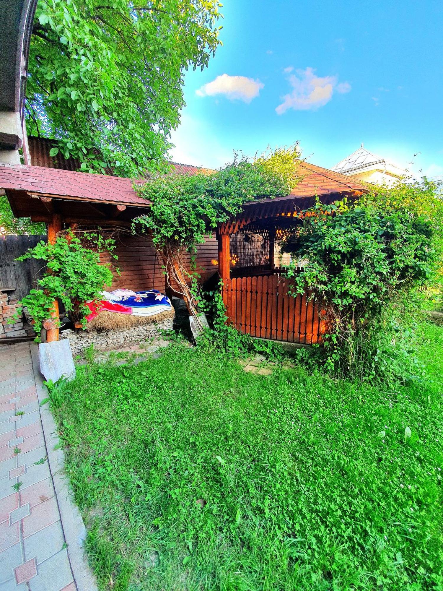 Casa Ionut 호텔 Borşa 외부 사진